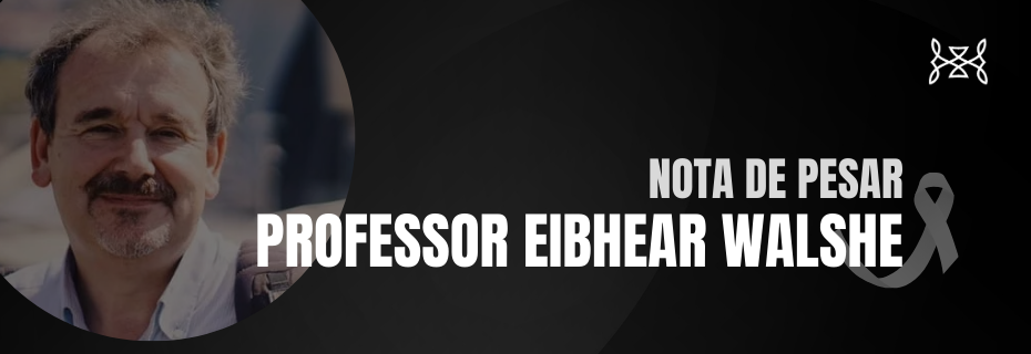 professor eibhear walshe (1)